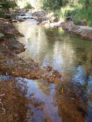 Leather Barrel Creek