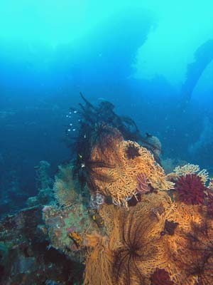Wreck