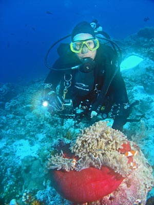 Clownfish