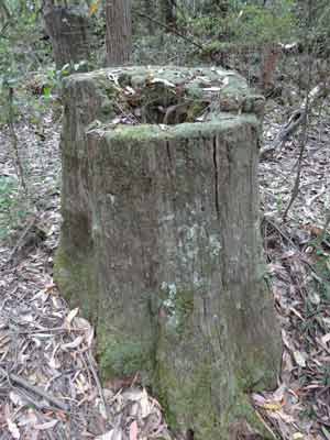 Lowden Park