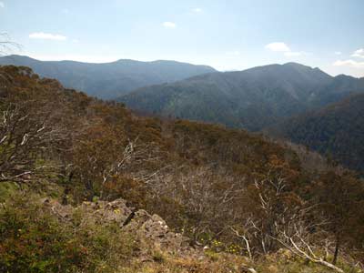 Macalister Valley