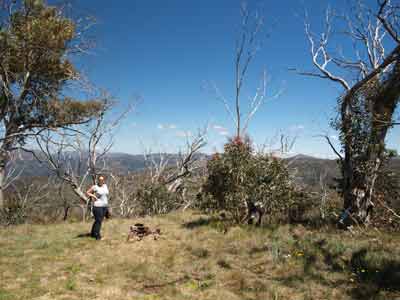 Minogues Lookout