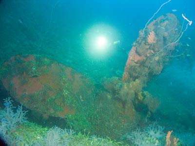 Momokawa Maru