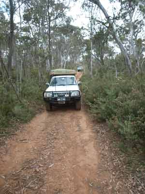 Moroka Range Track