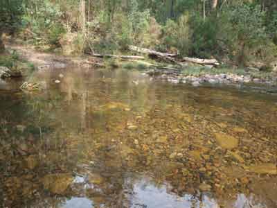 Mountain Creek