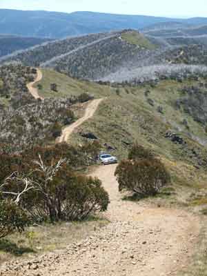 Mt Blue Rag