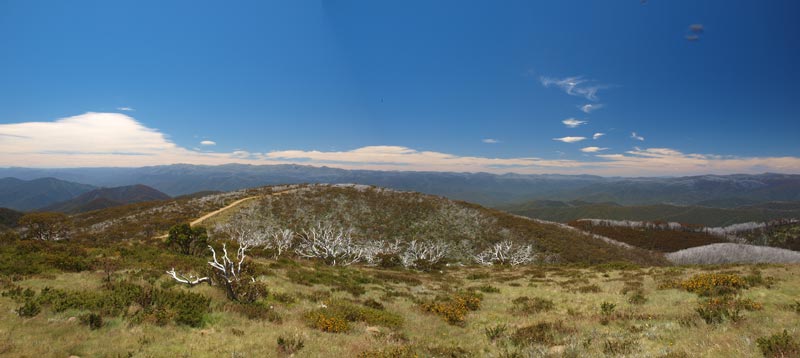Mt Pinnibar
