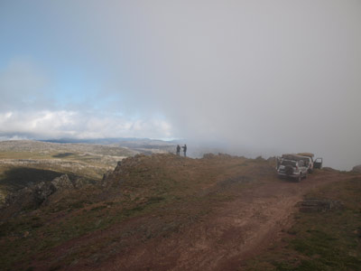 Mt Wellington