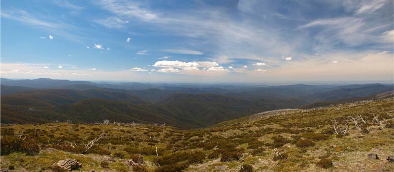 Mt Wellington