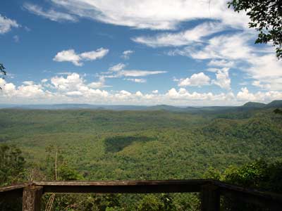Murrays Scrub Lookout