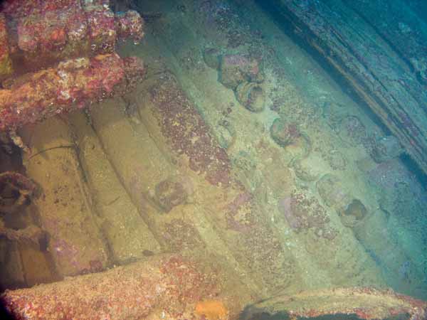 Nippo Maru