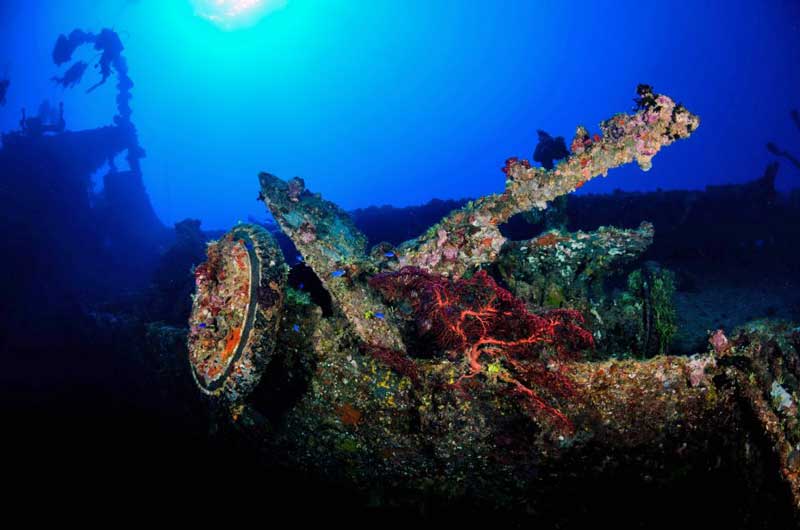 Nippo Maru