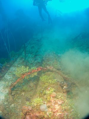 Nippo Maru