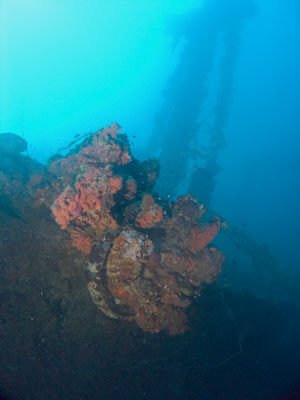Nippo Maru