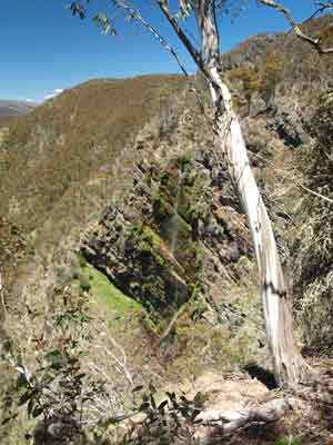 Pieman Falls