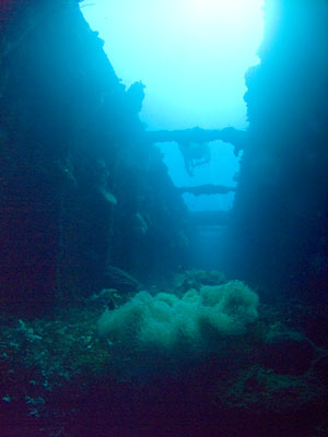 Rio de Janiero Maru