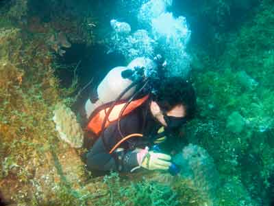 Rio de Janiero Maru
