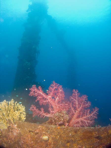 Sankisan Maru