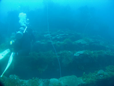 Seiko Maru