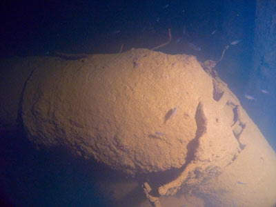 Seiko Maru