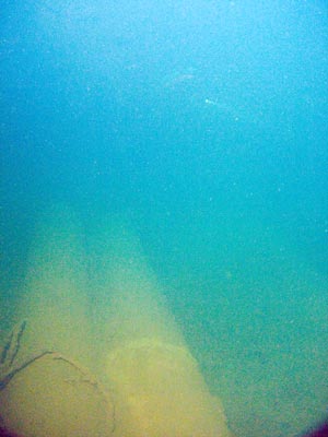 Seiko Maru