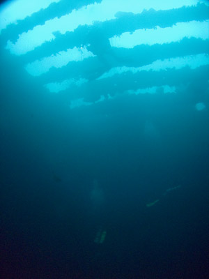 Seiko Maru