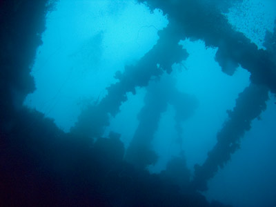 Seiko Maru