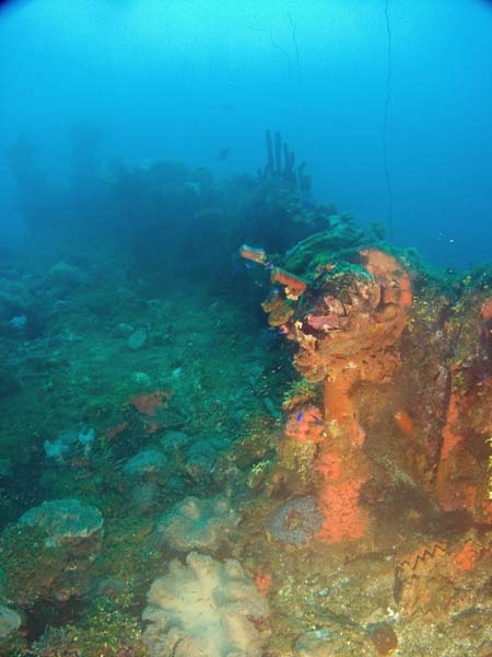 Seiko Maru
