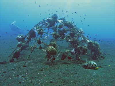 Artificial reef