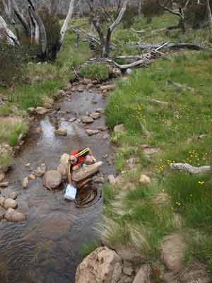 Shaw Creek