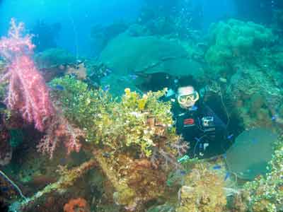 The Shinkoku Maru