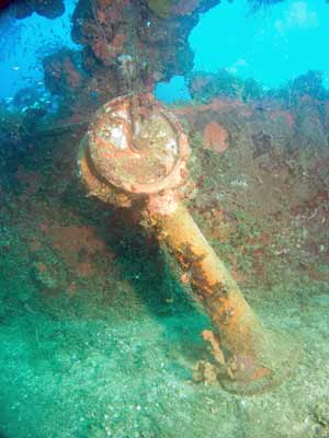 Shinkoku Maru