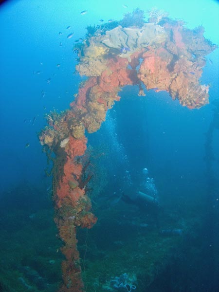 Shotan Maru