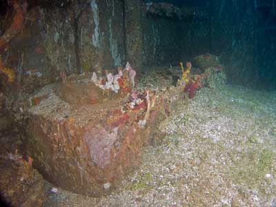 Shotan Maru