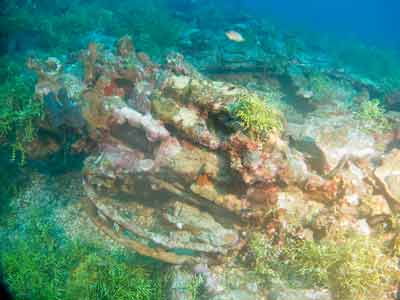 Shotan Maru