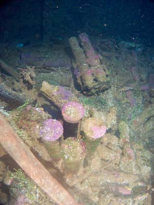 Shotan Maru