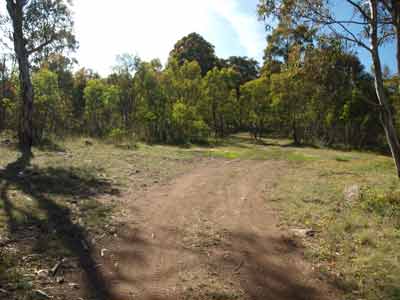 Tamboritha Road Camping Area