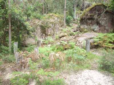 Tenterfield Tank Traps