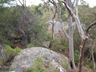 Thunderbolts Hideout