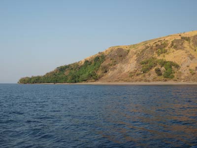 Photo of site