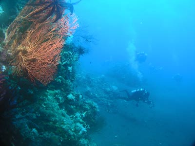 Tikno Reef