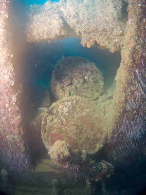 Tokai Maru