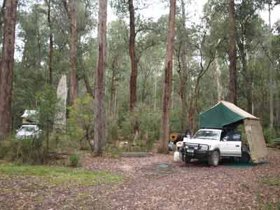 Waratah Flat Camping Area