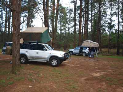 Wingello State Forest