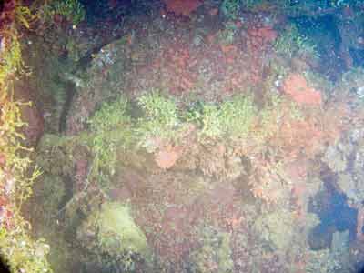 Yamagiri Maru
