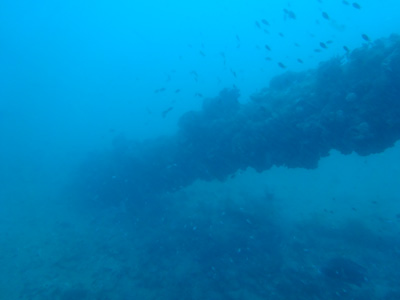 SS Yongala