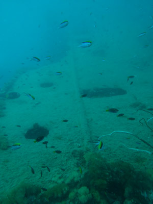 SS Yongala