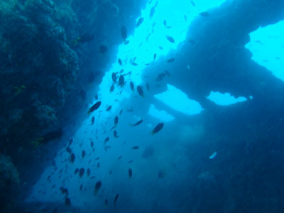SS Yongala