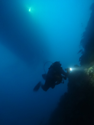 6MP