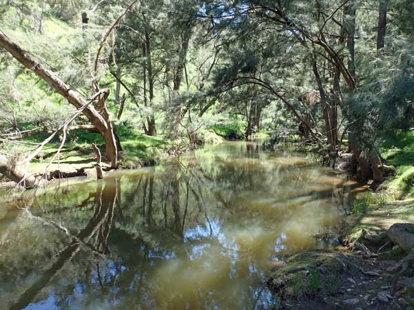 Abercrombie River